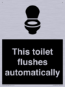this-toilet-flushes-automatically~